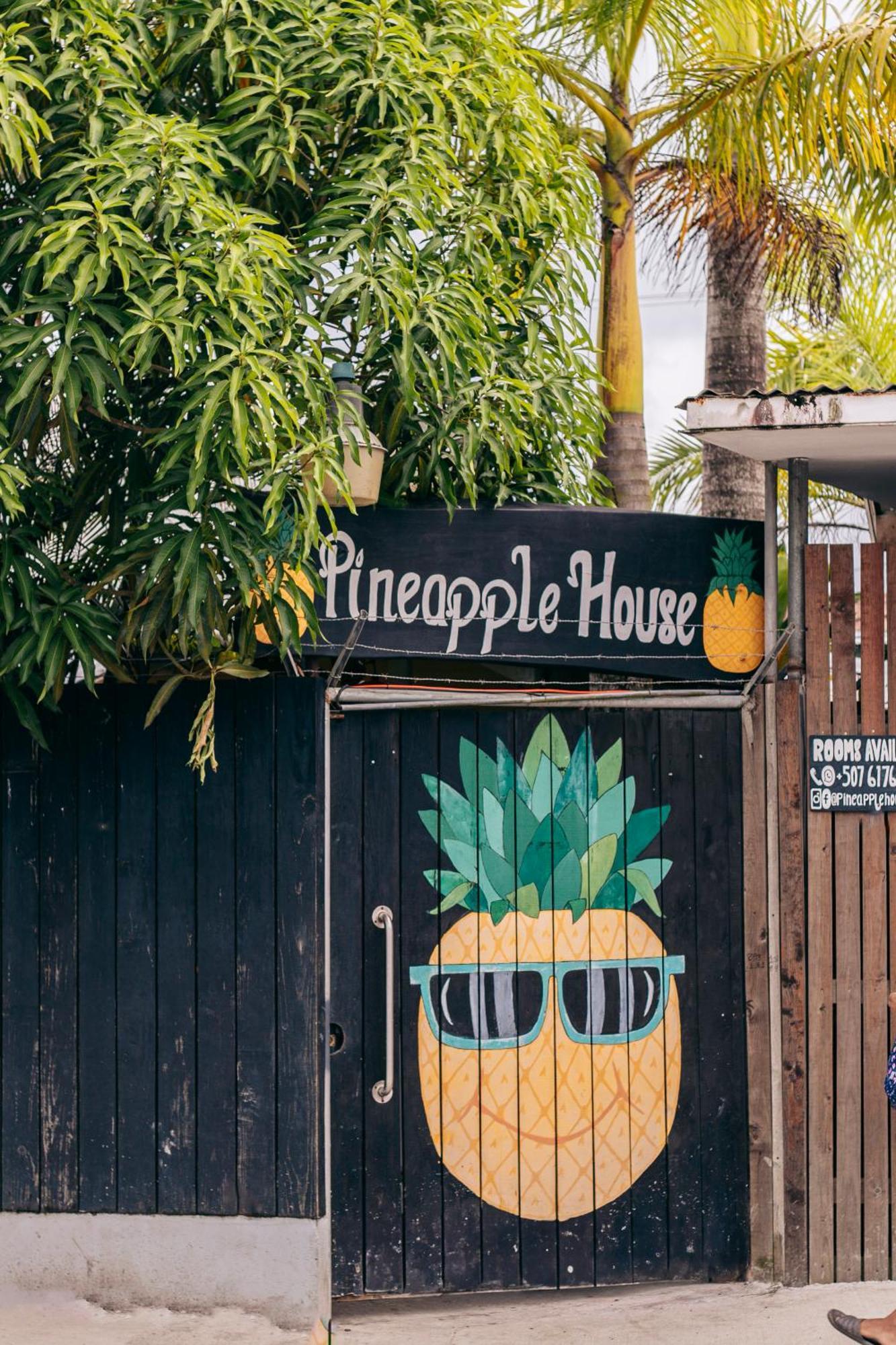 Отель Pineapple House Бокас-дель-Торо Экстерьер фото